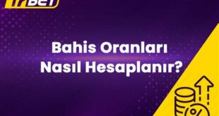 Adaxbet Bahis Oranları Nasıl Hesaplanır?